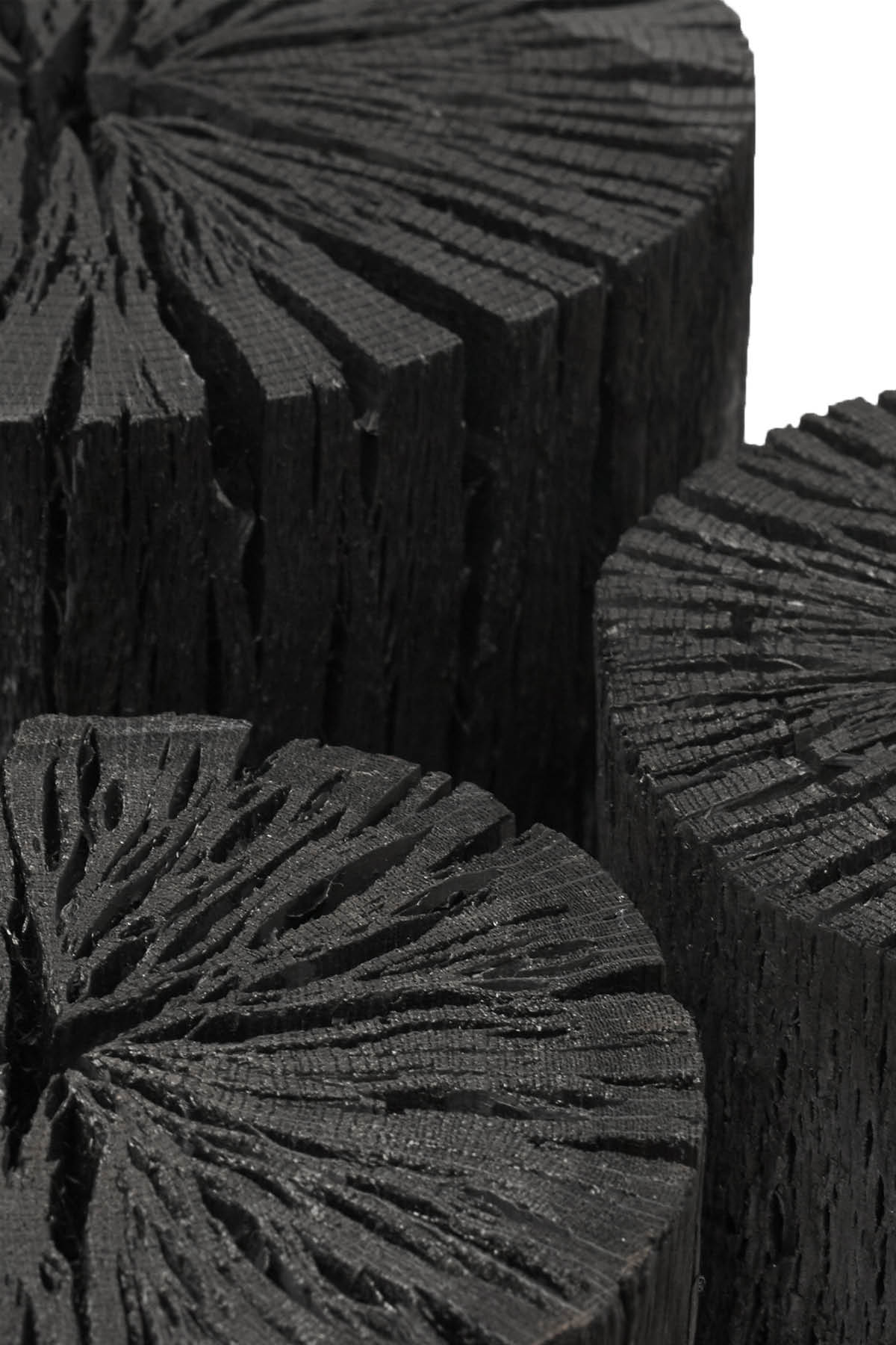 Hakutan Coal - Sort Of Coal I Clear