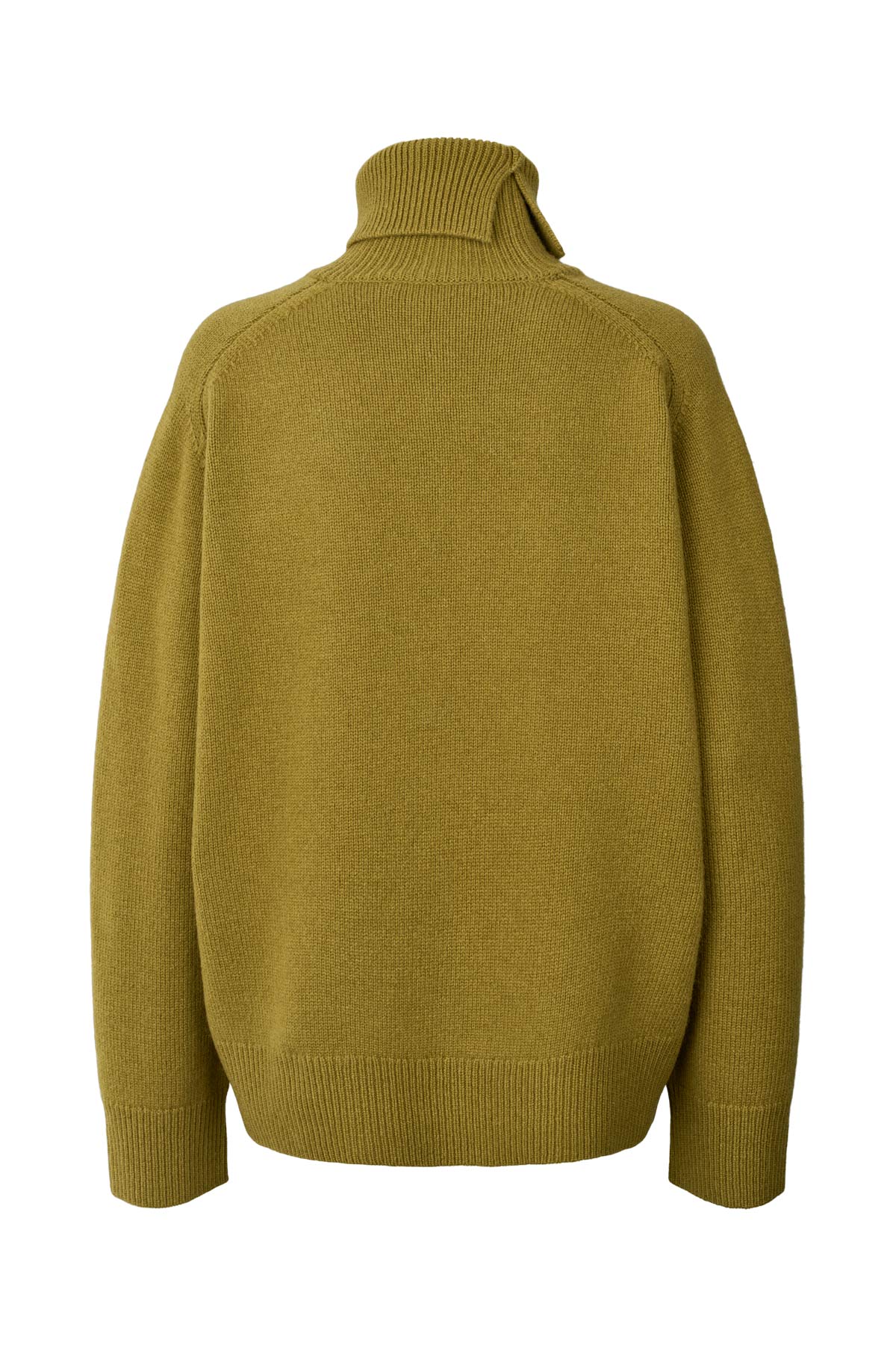 Celly - Pure wool roll neck sweater I Fern green