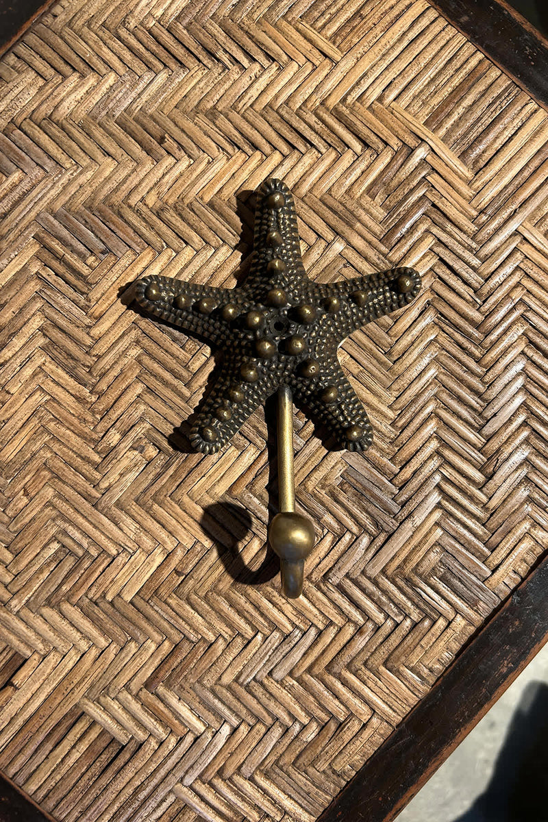 Starfish hook Large - Rabens Apartment I Matte Brass